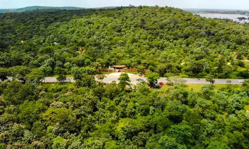 Telangana Goes Green: HMDA plants 1.9 lakh saplings, 126 trees in a day for Haritha Haram