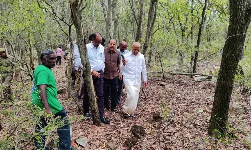 Leopard Hunt: TTD sets traps after attack on 3-year-old.