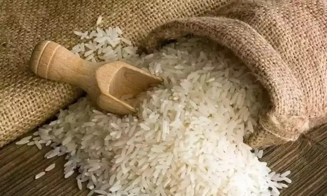 Unsaturated fatty acids in Assam’s Joha rice can help manage diabetes.