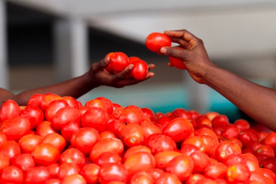 Tomatoes cost Rs 100 per kg across country, green chillies follow suit