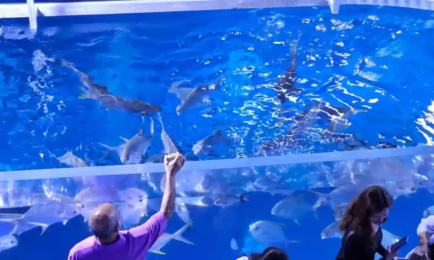 Telangana HC issues notice to govt in Hyderabad Aqua Marine Park case