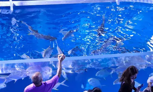 Telangana HC issues notice to govt in Hyderabad Aqua Marine Park case