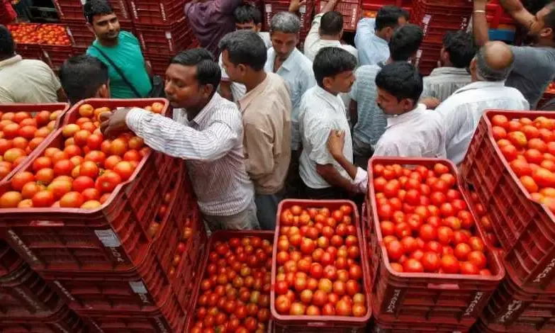 Relief for AP as tomato prices to go down in two weeks.