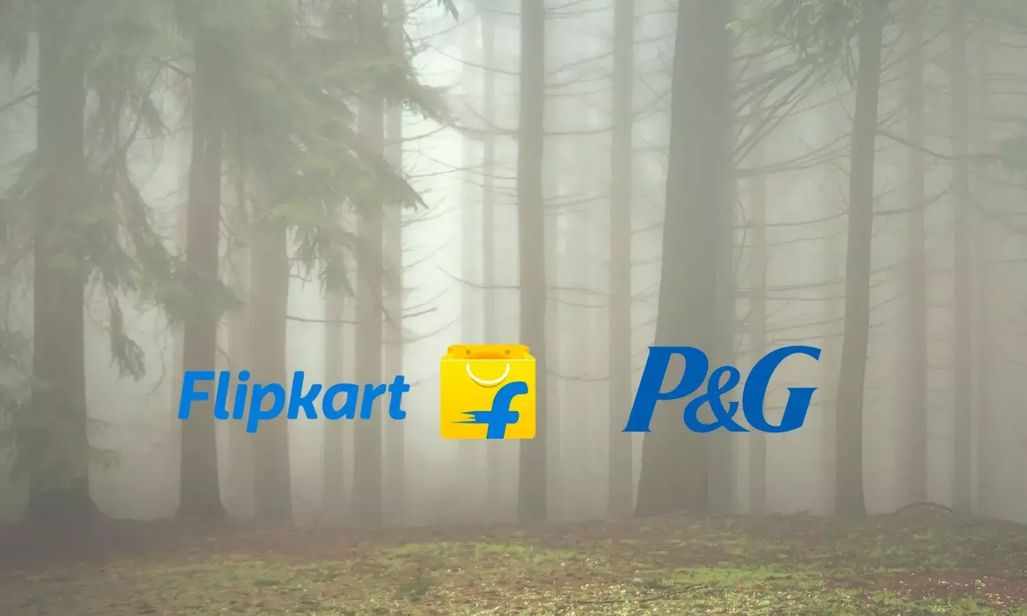 Forests For Good: For every P&G product purchased, Flipkart will plant a tree in Karnataka