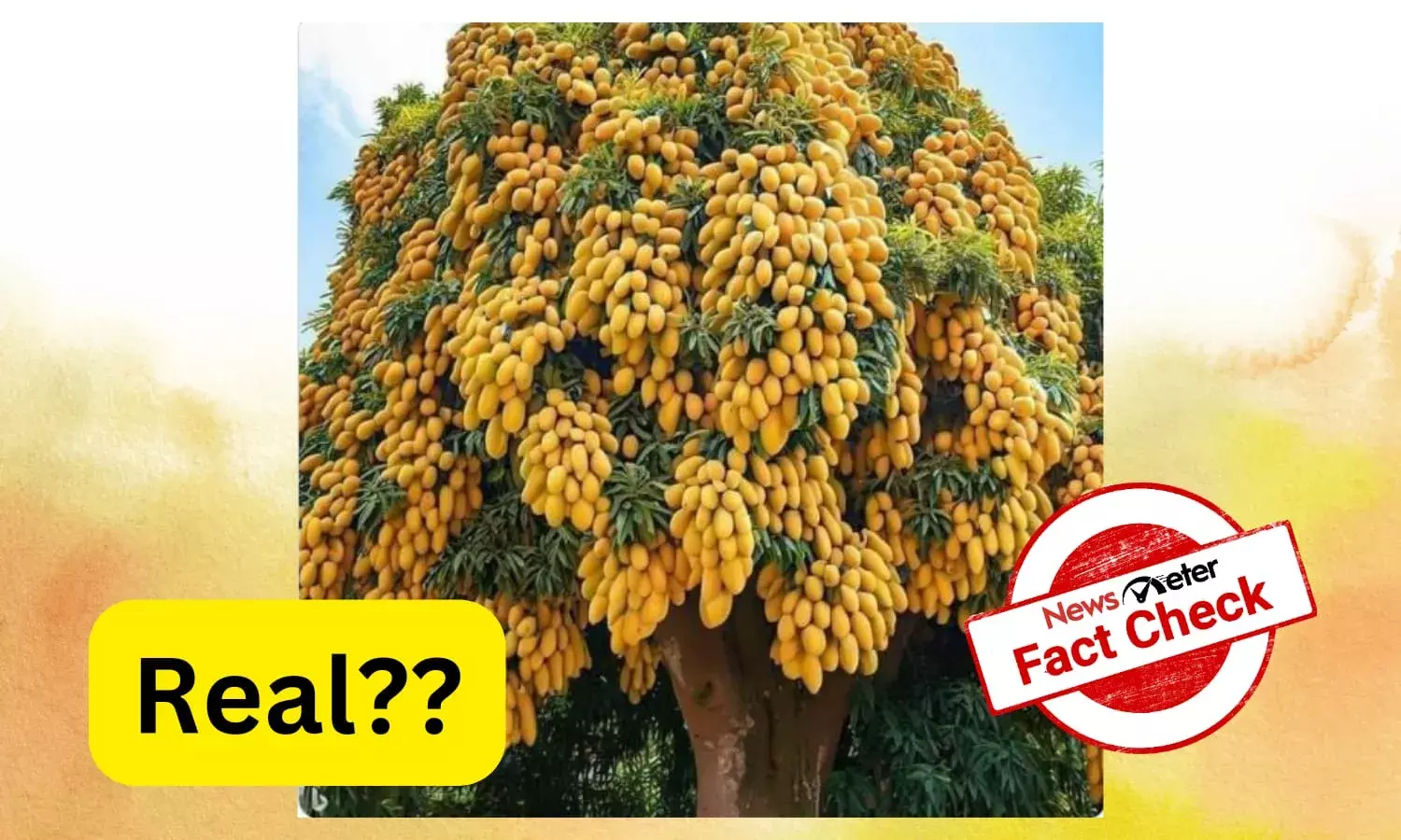 Picture of the viral mango tree is AI-generated