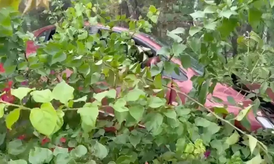 Hyderabad: Mother-daughter among 3 killed after speeding car hits pedestrians