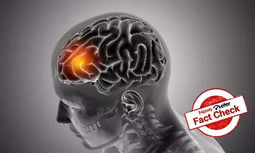 Does Interphone Study link smartphone usage to brain tumors?