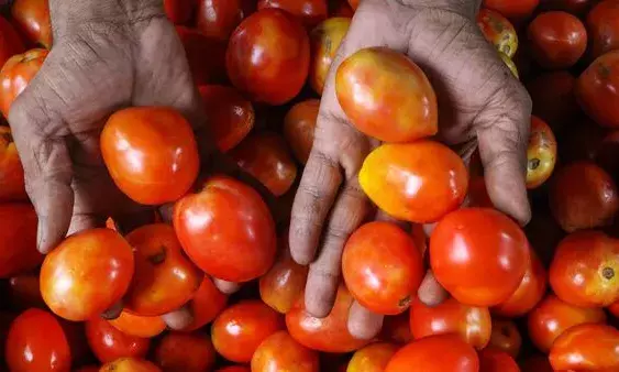 Price surge: McDonalds removes tomatoes from menu; parties woo voters with subsidy outlets.