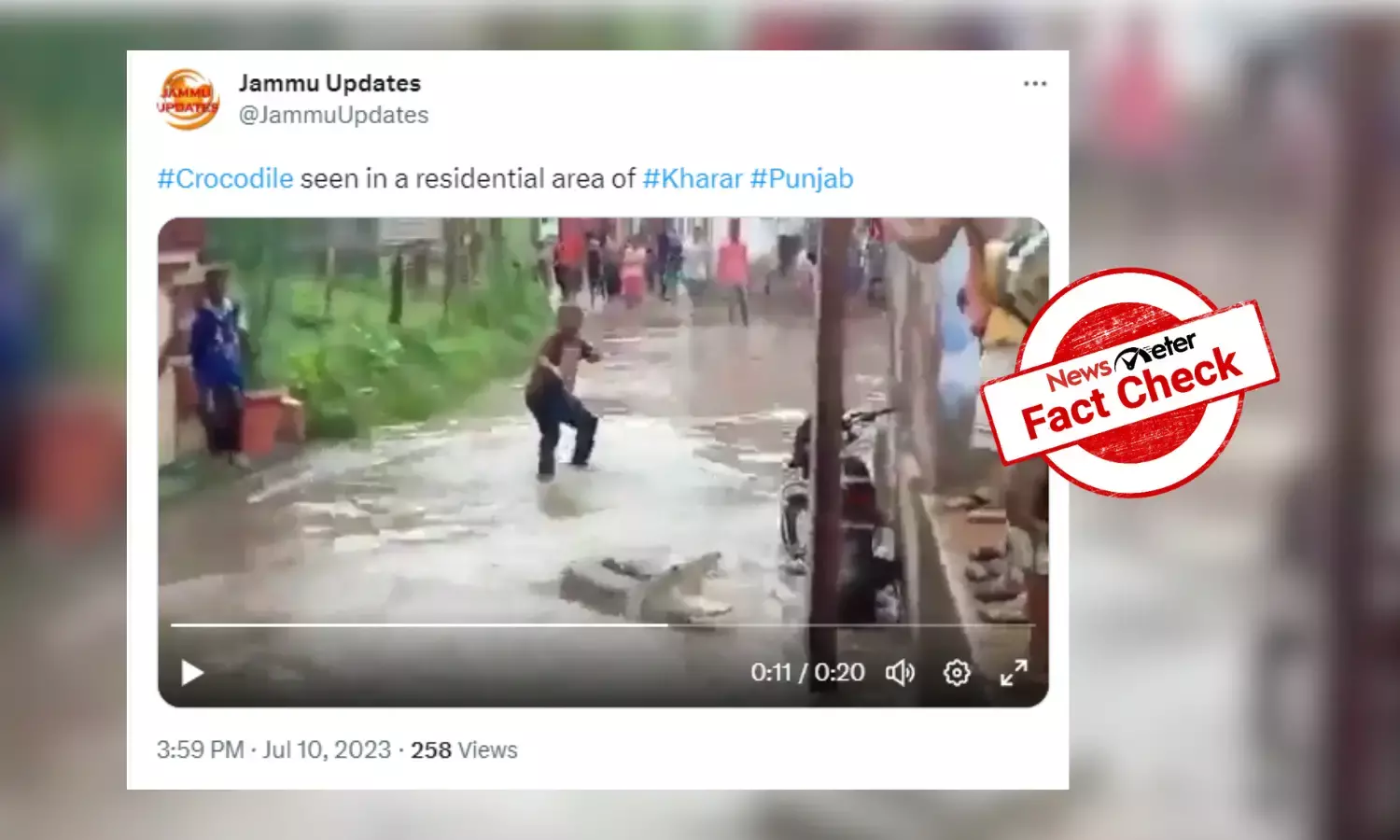 Fact Check: 2019 video passed off as recent crocodile sighting in Punjab floods