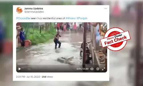 Fact Check: 2019 video passed off as recent crocodile sighting in Punjab floods