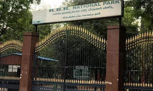 Hyderabad:  SUV-borne man harasses, films woman filmmaker during morning walk at Banjara Hills; booked