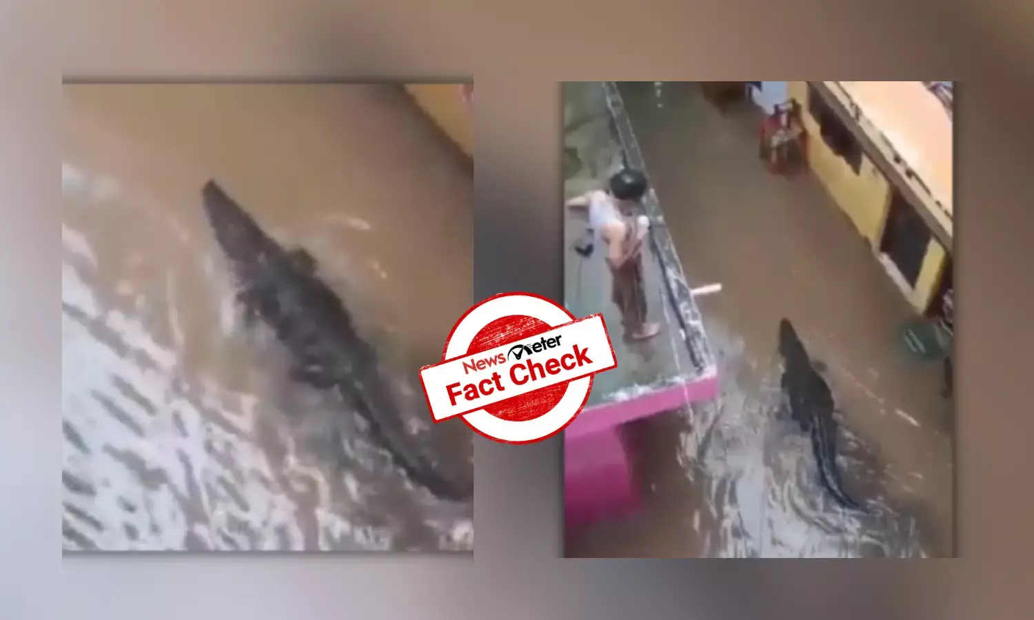 Fact Check: Video of crocodile in residential area is from MP, not Delhi