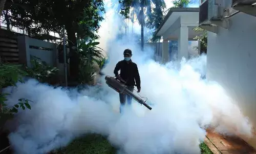 Dengue: Here are dos and donāts to keep deadly misquotes at bay