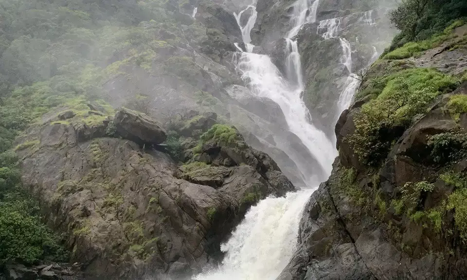 Viral Reels of Dudhsagar Falls entice trekkers to break rules; local guides suffer from tourist ban.