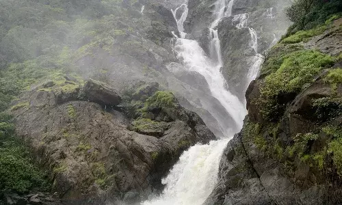 Viral Reels of Dudhsagar Falls entice trekkers to break rules; local guides suffer from tourist ban.