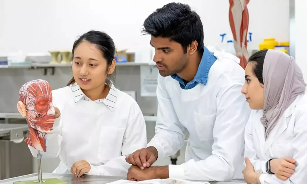 Telangana govt aims to set up a medical college in every district.