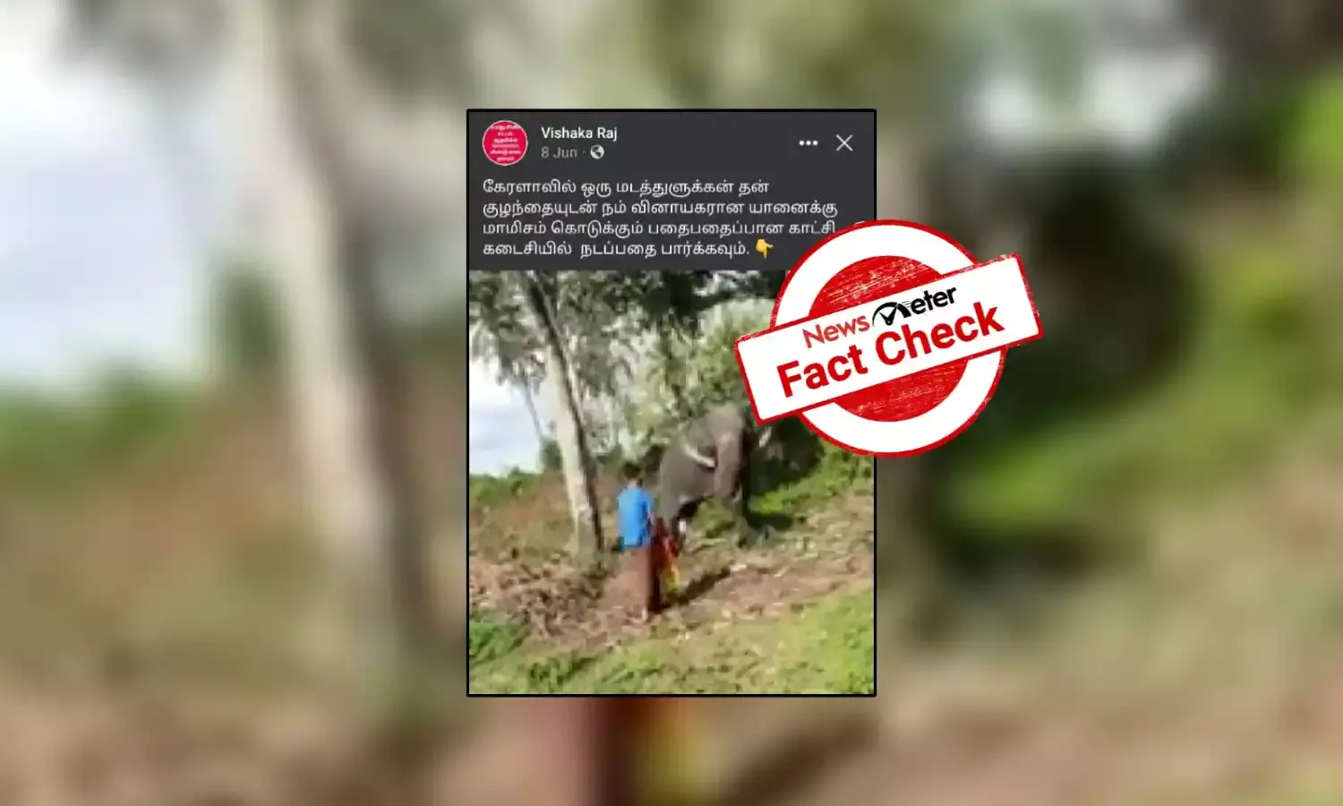 யானைக்கு மாமிசம் வழங்கினாரா இஸ்லாமியர்? வைரல் காணொலியின் உண்மை என்ன?