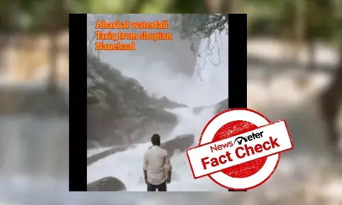 Fact Check: Viral video of man slipping into waterfalls is from Karnataka, not Kashmir