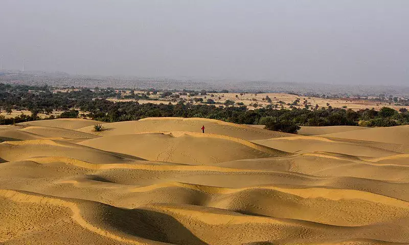 IIT Jodhpur experts use crowdsourced bird data to map eco-regions in Thar Desert