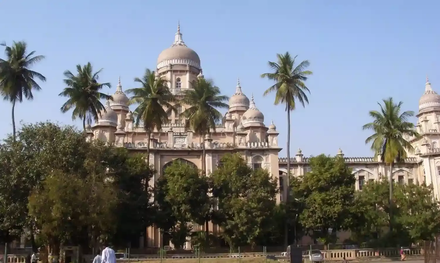 Why not consider alternatives? Docs question government on OGH demolition