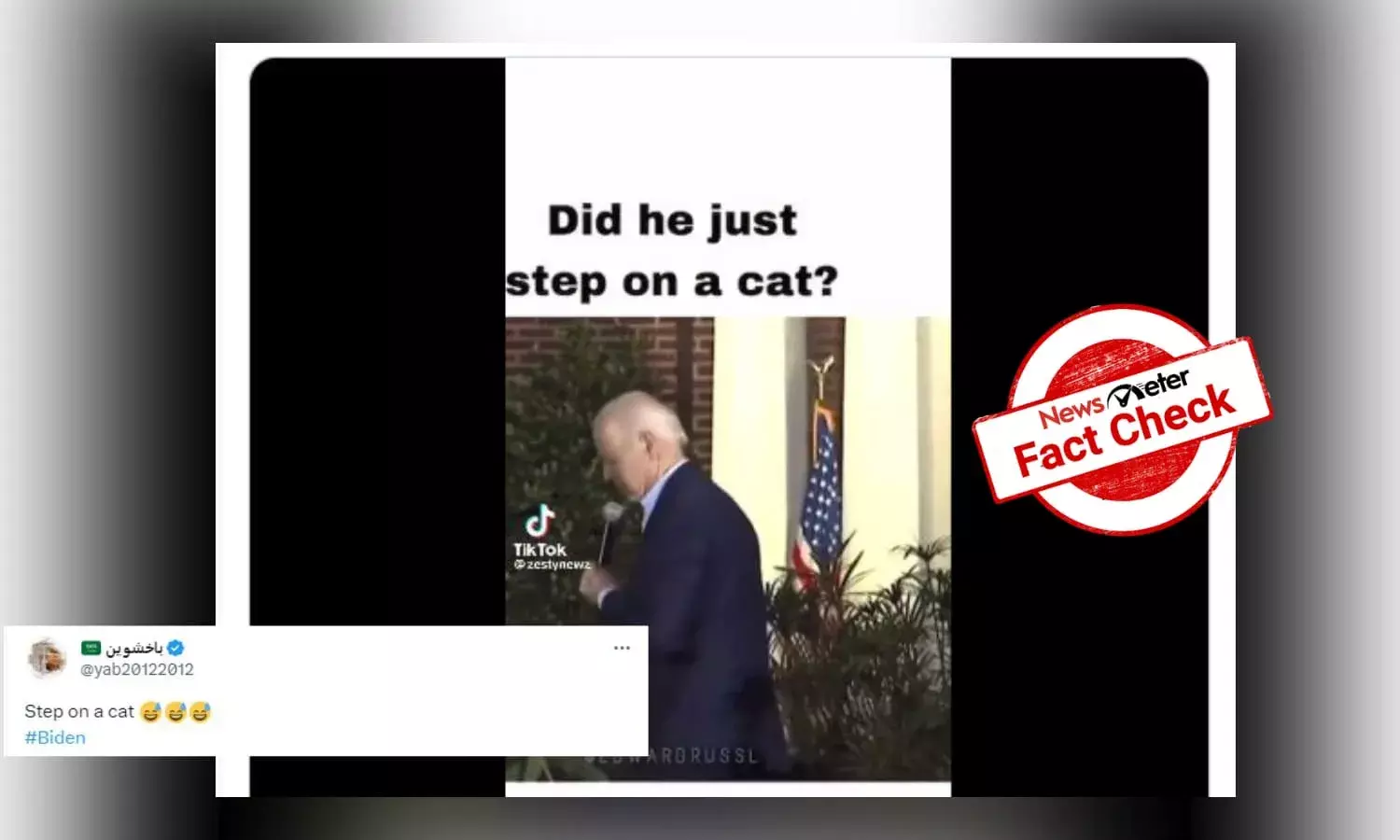 Fact Check: US President Joe Biden did not step on a cat in viral video