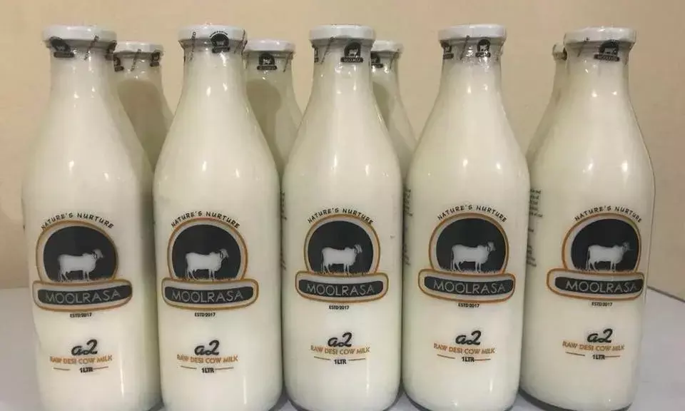 Hyderabad: Former IAS officer blames Moolrasa Milk for health problems; police register case