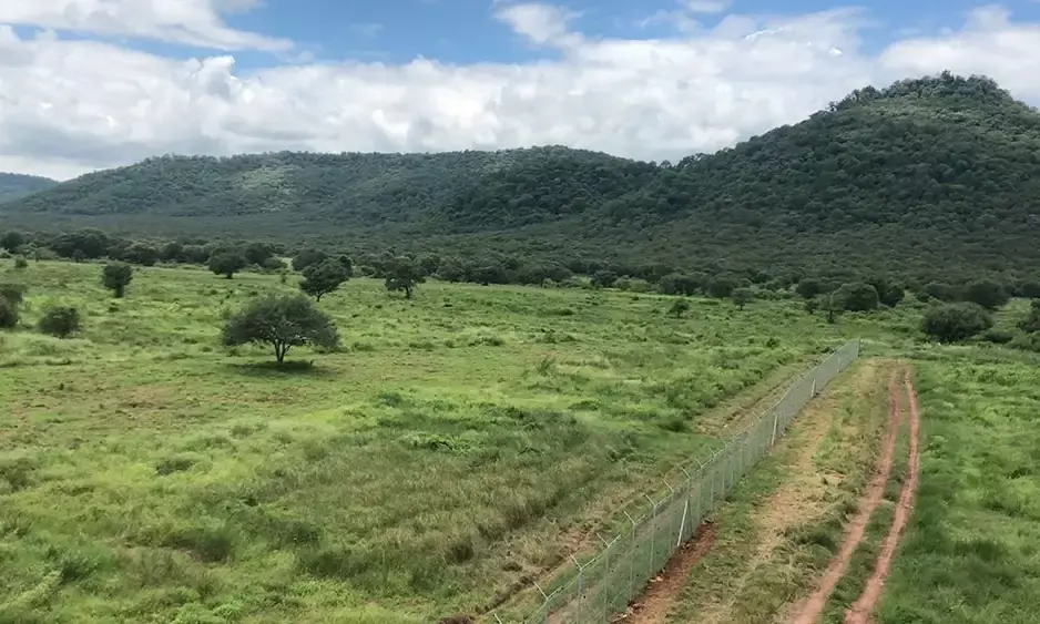 10 held in connection with hunting, encroachment of forest land near Kuno National Park