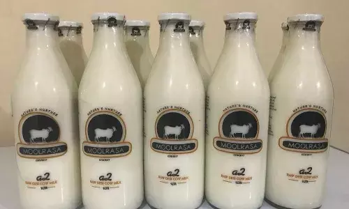 Hyderabad: Former IAS officer blames Moolrasa Milk for health problems; police register case