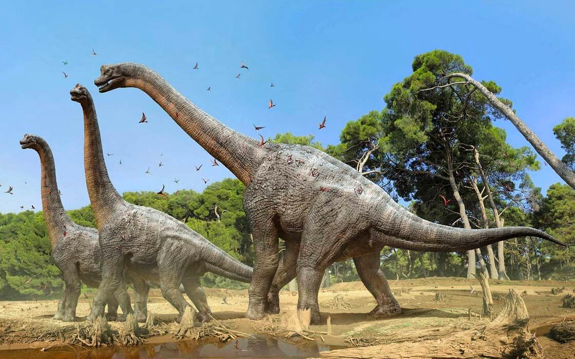 Oldest fossils of a plant-eating dinosaur discovered in Rajasthan