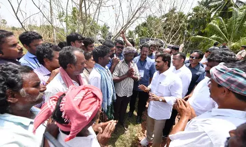 AP plans protection wall to keep Konaseema islands safe from Godavari floodwaters