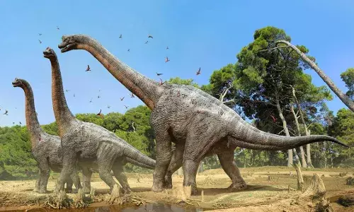 Oldest fossils of a plant-eating dinosaur discovered in Rajasthan
