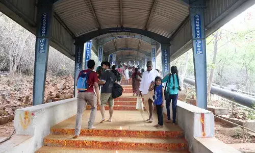 Leopard terror: TTD bans sale of vegetables, fruits along footpath routes