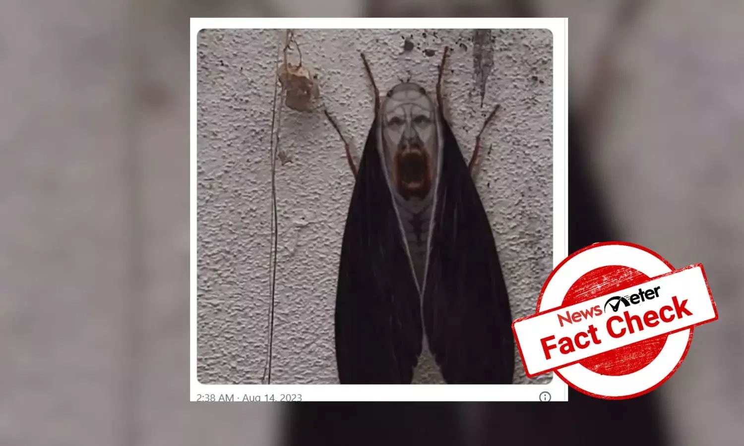 Fact Check: Should you be afraid of Nun Moth?
