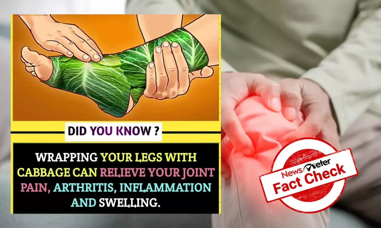 Fact Check: No, wrapping a cabbage leaf won’t cure arthritis