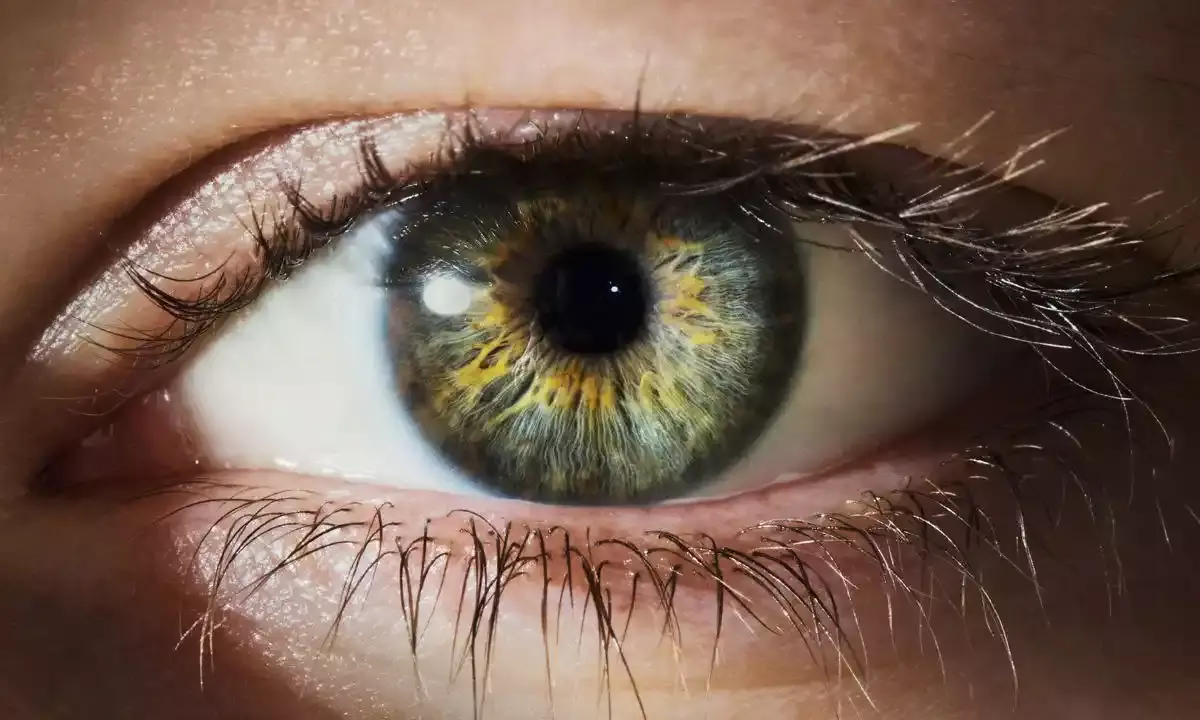 ‘2 million cases of incurable eye diseases’: Biotech experts call for affordable gene, cell therapies