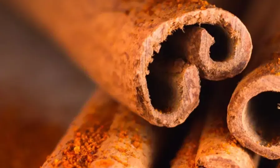 Cinnamon and its active components prevent prostate: Study