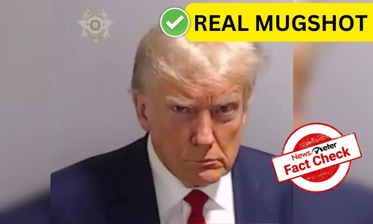 Fact Check: Another mugshot of Trump goes viral; but Is this real?