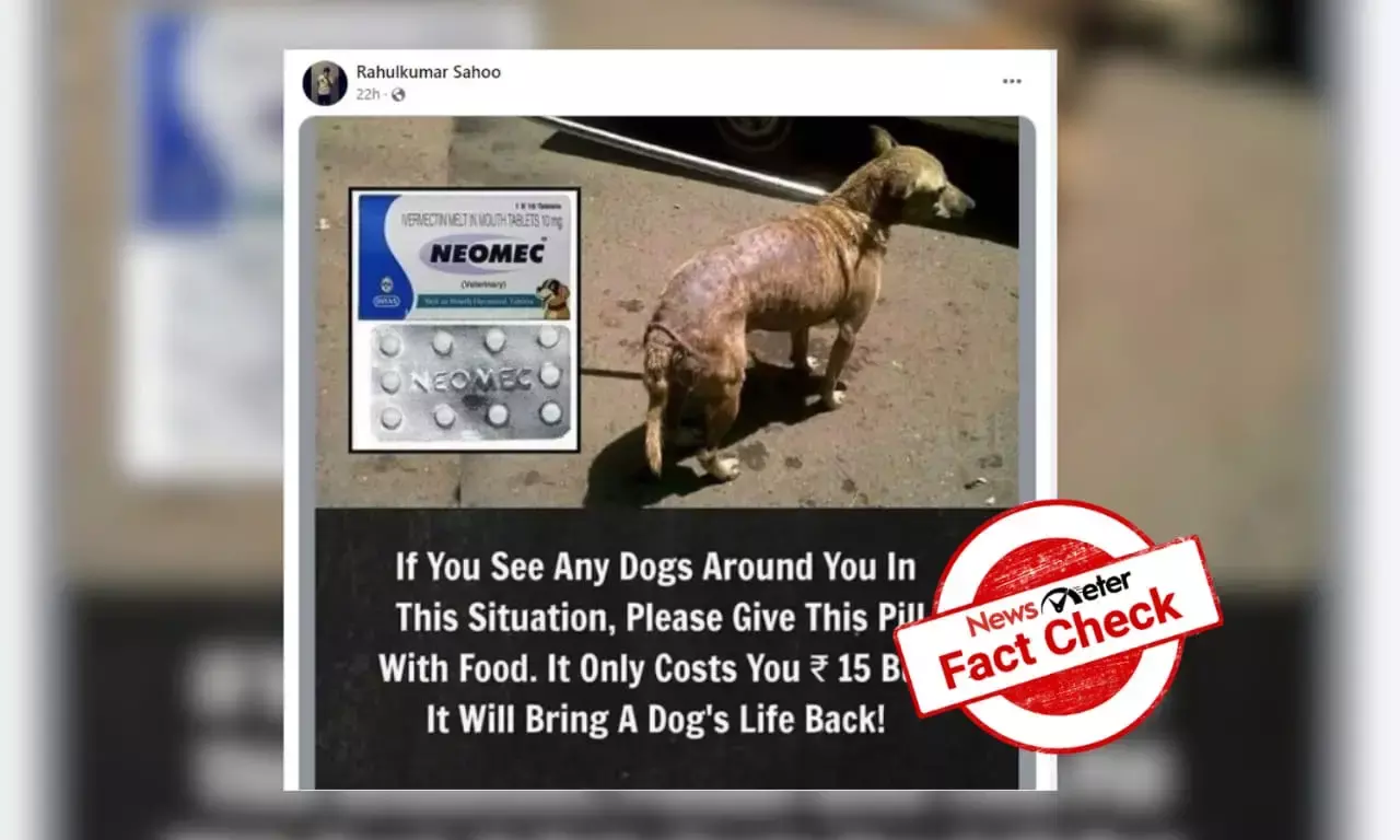 Attention Dog Lovers: Neomec tablets can’t treat every dog with skin infections