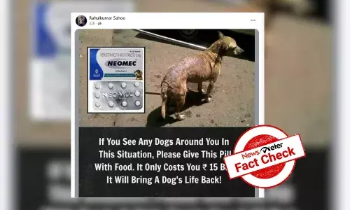 Attention Dog Lovers: Neomec tablets canāt treat every dog with skin infections