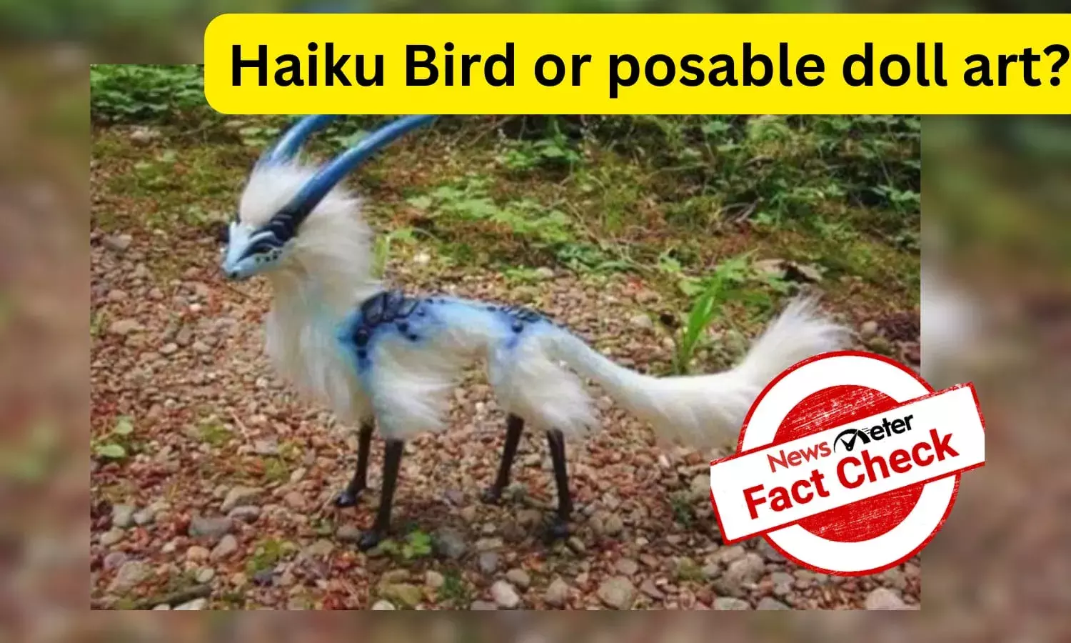 Fact Check: Is Haiku Bird a real creature found in Nepal?