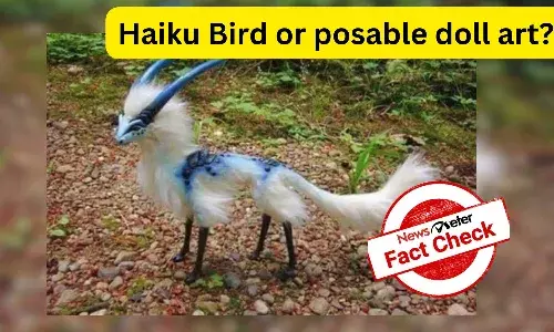 Fact Check: Is Haiku Bird a real creature found in Nepal?