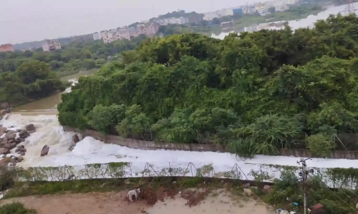 Rainwater, industry waste cocktail cause chemical foam on Kukatpally streets