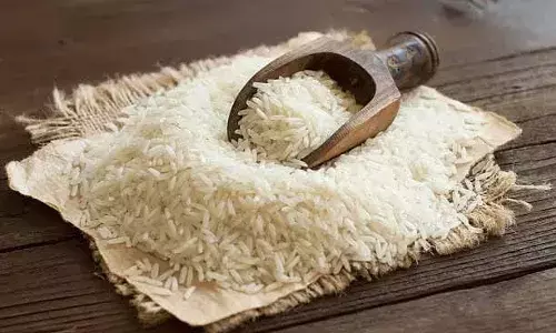 Who owns Kala Jeera Rice? Private company gets GI tag, public counters claim