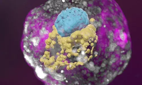 Scientists grow whole model of human embryo without sperm or egg