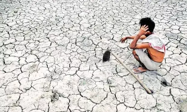 Maharashtra: 685 farmers commit suicide in 2023 in Marathwada region