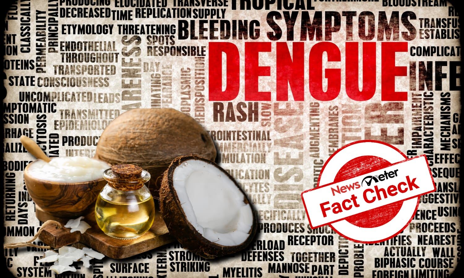Fact Check Can coconut oil act as an antibiotic to prevent dengue?