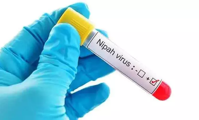 Two unnatural deaths in Kerala, health alert issued due to Nipah virus