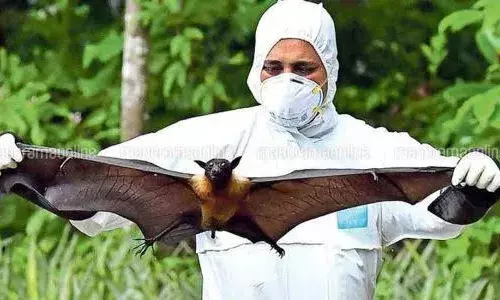 How Nipah virus’ high mortality rate endangers public health