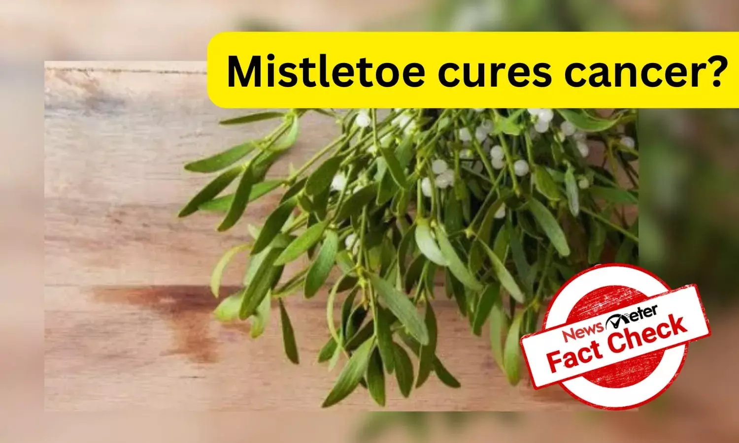 Fact check: Can mistletoe cure cancer?