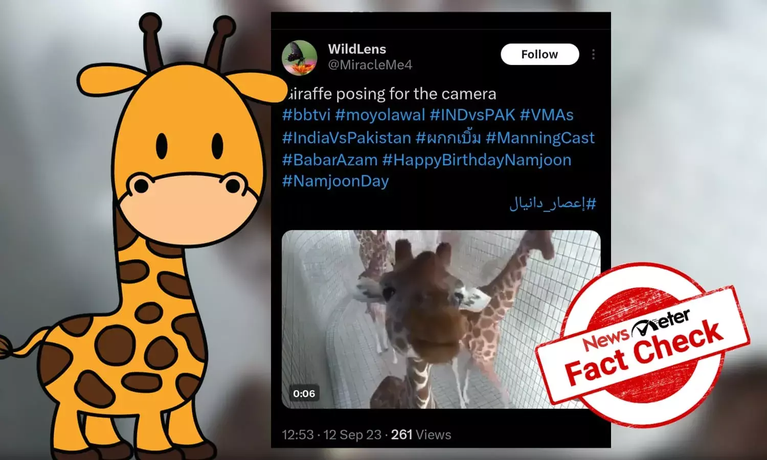Fact Check: CGI clip of an adorable giraffe shared as real